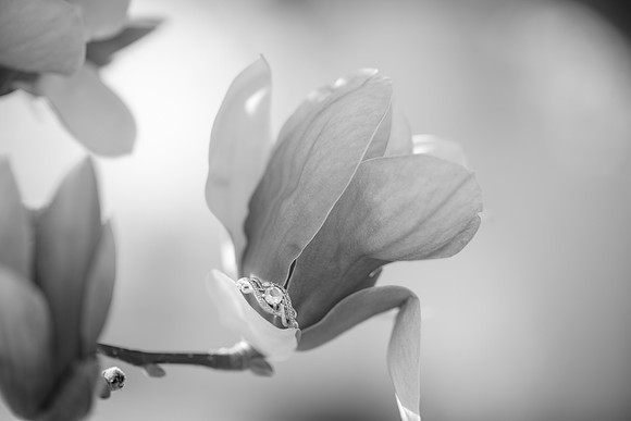ATP_9318-2